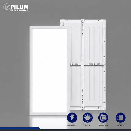 LED Panel Light - Mounted - 30x60cm