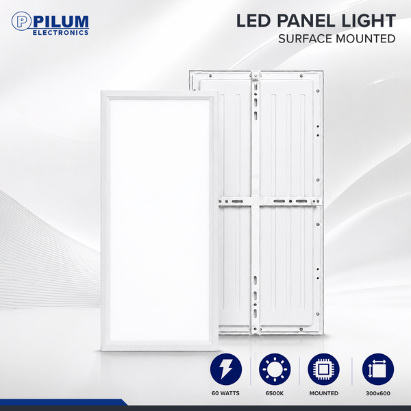 LED Panel Light - Mounted - 30x60cm