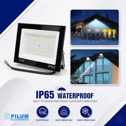 Pilum 75W LED Flood Light